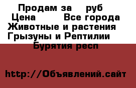 Продам за 50 руб. › Цена ­ 50 - Все города Животные и растения » Грызуны и Рептилии   . Бурятия респ.